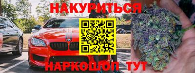 индика Заводоуковск
