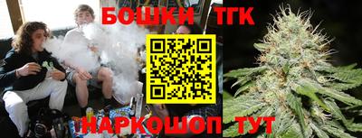 индика Заводоуковск