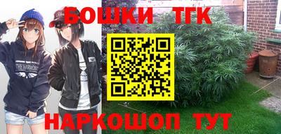индика Заводоуковск